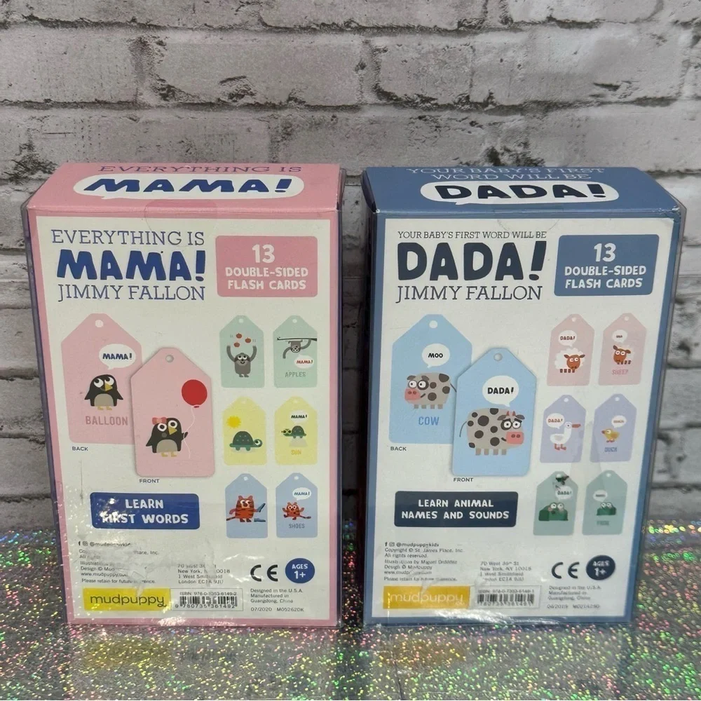 Everything Is Mama! DADA! Double Sided Flash Cards Jimmy Fallon Lot of 2 NEW